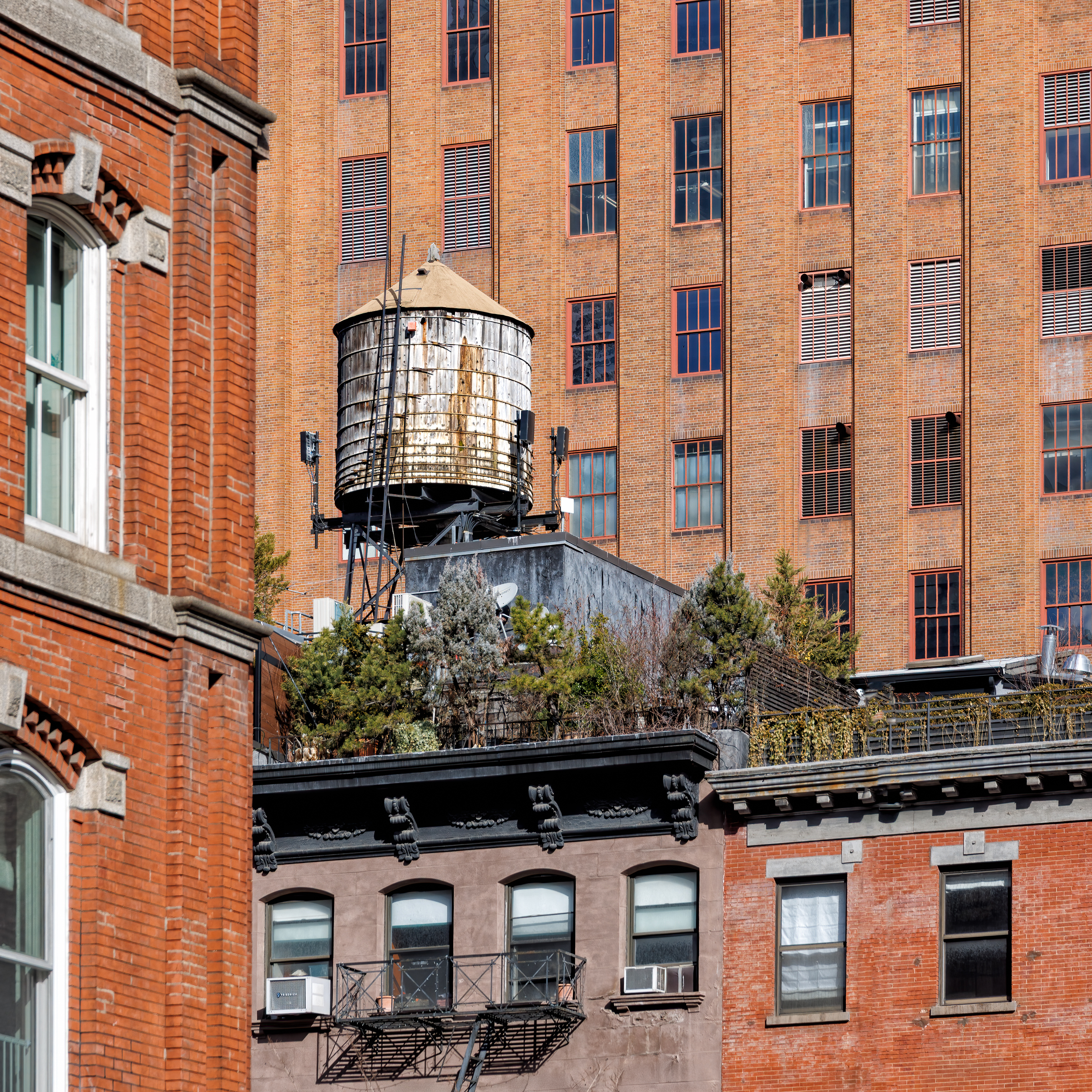 Roosevelt Island Tramway Neighbor.jpg